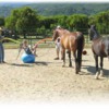 EquineAsstdTherapy