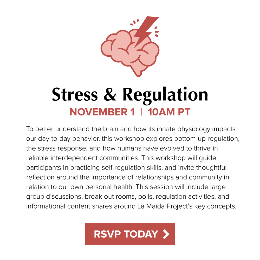 La Maida Project Experiential Workshop: Stress &amp; Regulation