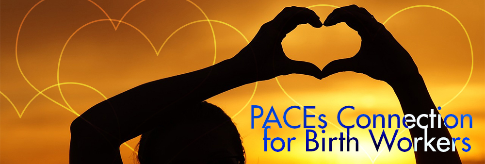 PACEs Connection for Birth Workers