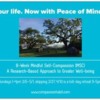 Spring Mindfulness Retreat